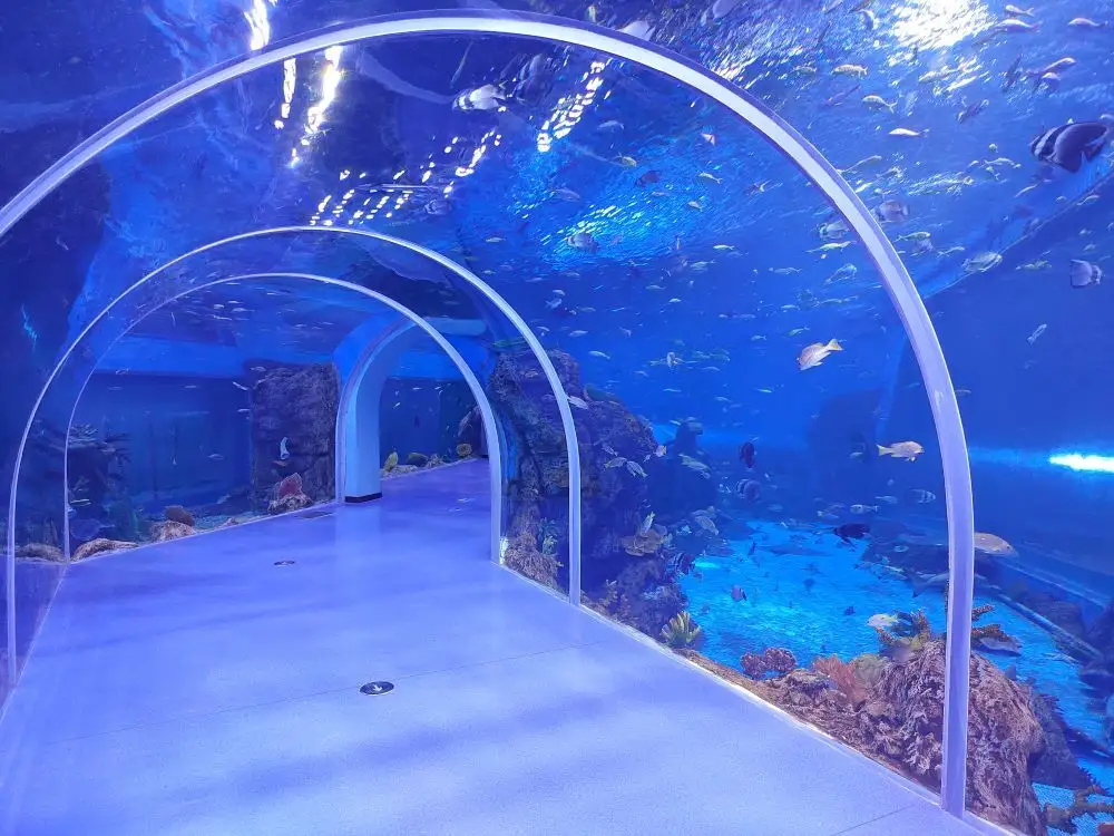 Acrylic Tunnel Xingcheng by Xchacrylic 4