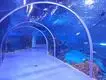 Acrylic Tunnel Xingcheng by Xchacrylic 4