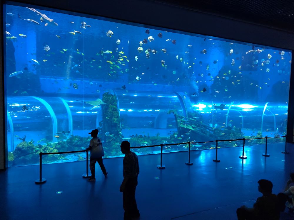 Xingcheng 2025 Tangki Ikan Akuarium Akrilik Tingkap Akrilik Besar 2