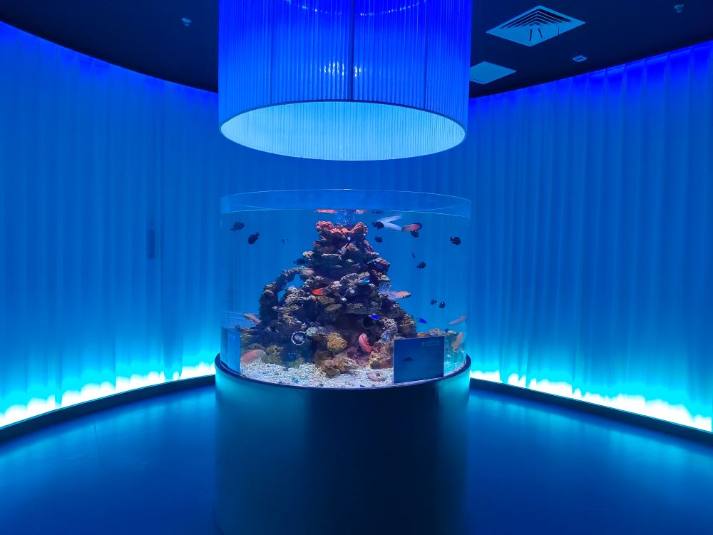 2025 transparent acrylic aquarium glass fish tank 4