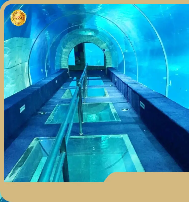 Acrylic Tunnel Xchacrylic Brand Suppliers 1