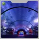 Clear Acrylic Tunnels Aquariums & Accessories 93%Factory 1