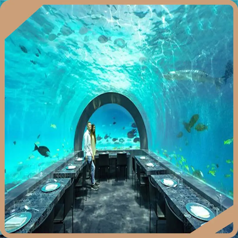 Acrylic Tunnel Xchacrylic Brand Suppliers-1 1