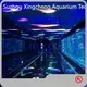 OEM Custom Aquarium Makers Xchacrylic Xingcheng Acrylic 1