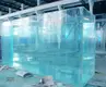 Acrylic Cylinder Fish Tank Sustainable TransparentCompany 1