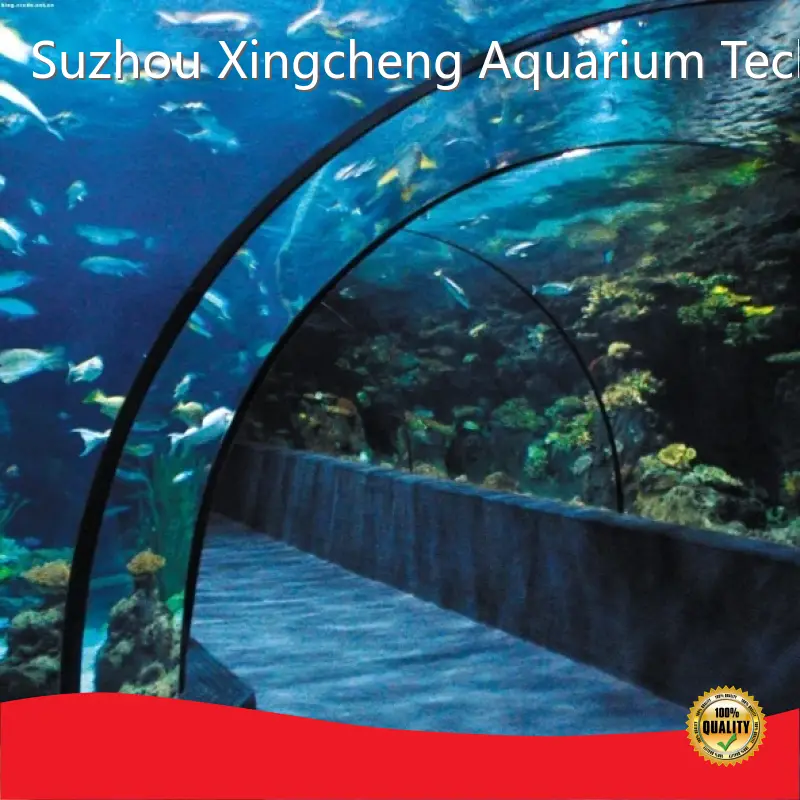 Hot Acrylic Tunnels Aquariums & Accessories Xchacrylic Brand 1