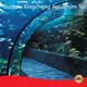 Hot Acrylic Tunnels Aquariums & Accessories Xchacrylic Brand 1