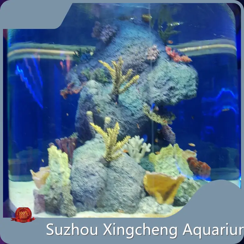 New Custom Acrylic Aquariums Xchacrylic Manufacture 1
