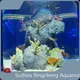 New Custom Acrylic Aquariums Xchacrylic Manufacture 1