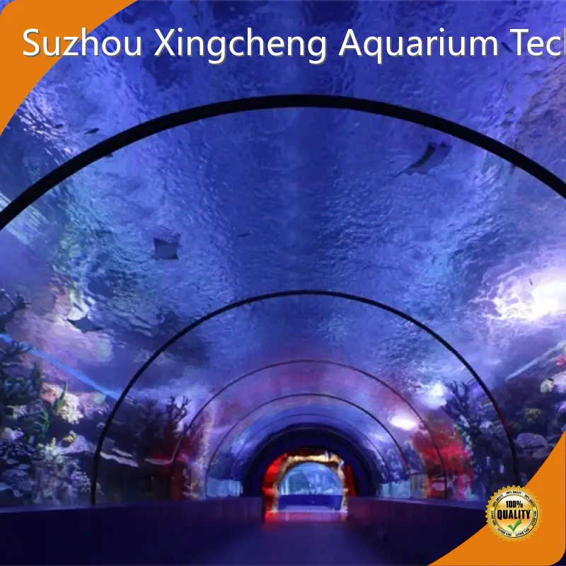 Top Tunnel Aquarium Tunnel Aquarium Company 1