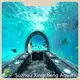 Acrylic Tunnels Sustainable 100% Imported Lucite After FilteringSupply 1