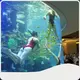 New Custom Sized Aquariums Supply 1