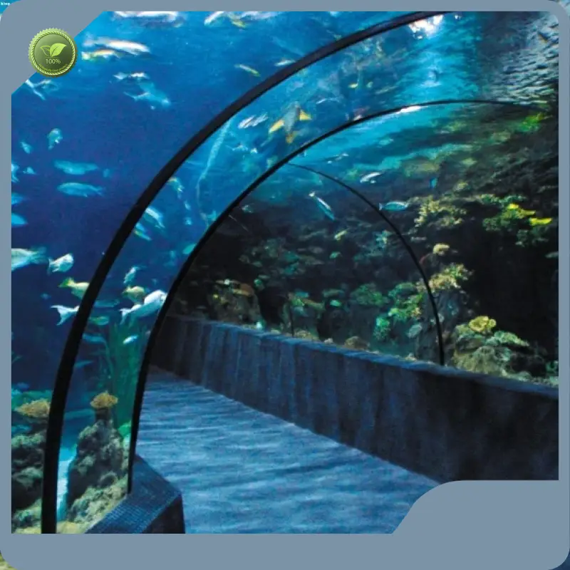 High-qualityacrylic Tunnel Aquariums & Accessories Seamless Joint 1