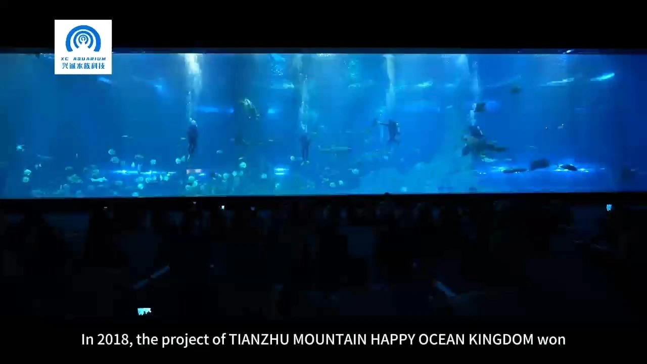 2025 Hot Sales Acrylic Glass Panel Sheet Aquarium Project 1