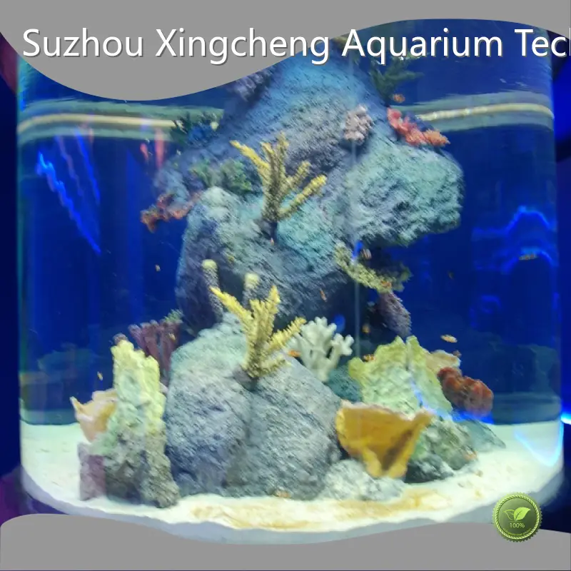 Acrylic Cylinder Aquarium 20mm--500mm by Xchacrylic 1