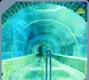 Aquarium Tunnel Xingcheng Acrylic Tunnel - - Xchacrylic 1