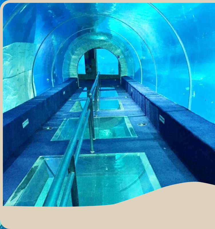 New Acrylic Tunnel Price List 1