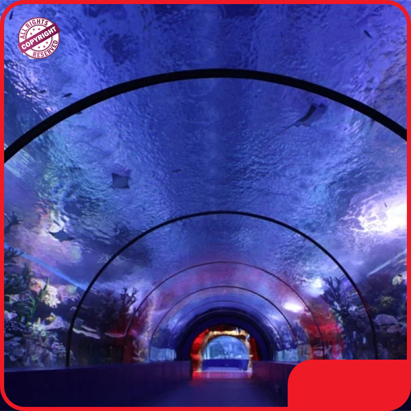Clear Acrylic Tunnels ≤5% by Xchacrylic 1