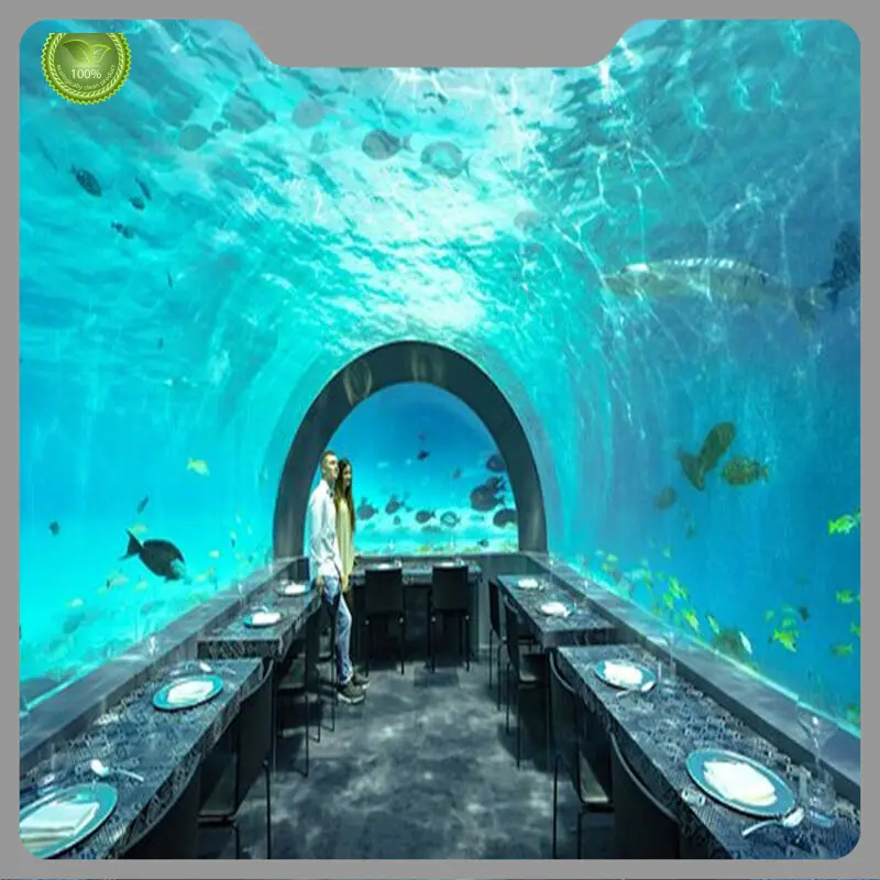 Top Clear Acrylic Tunnels Factory 1