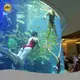 Large Acrylic Aquarium for Sale ≥55MPa 1.19+0.01Factory 1