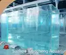 High-quality 20 Gallon Acrylic Tank Price List 1