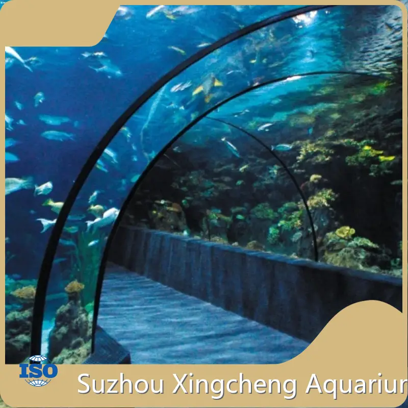 Tunnel Aquarium AquariumsFactory 1