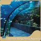 Tunnel Aquarium AquariumsFactory 1