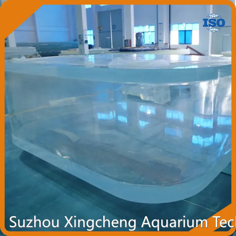 High-quality Acrylic Tanks for Sale 1