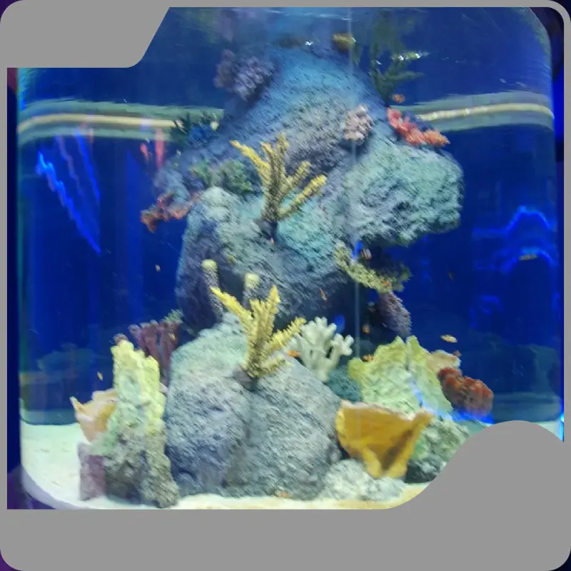 New Plexiglass Aquarium Company 1