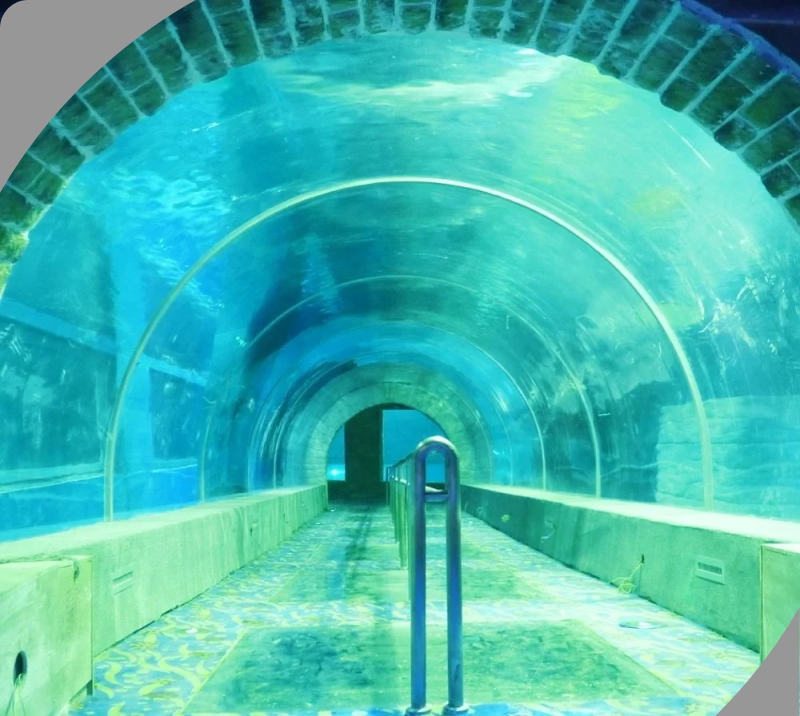 Acrylic Tunnel AquariumsSuppliers 1