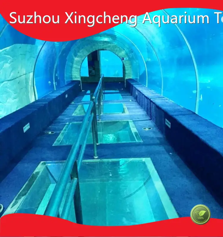 High-quality Acrylic Tunnel Company 1