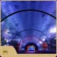 Acrylic Tunnel Rectangle/Square/cylinderManufacturers 1
