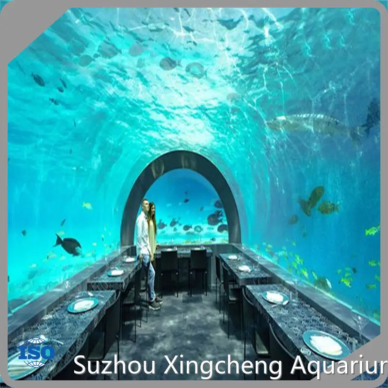 Xchacrylic Acrylic Tunnel SustainableCompany 1