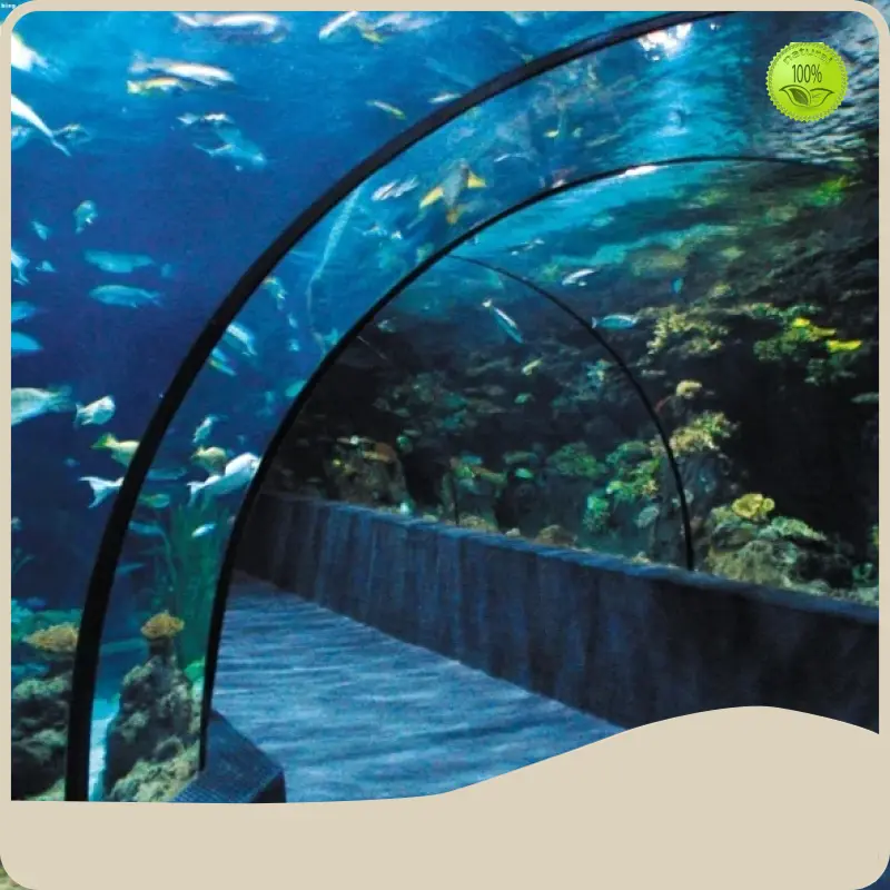 Aquarium Tunnel Xingcheng by Xchacrylic 1