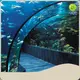 Aquarium Tunnel Xingcheng by Xchacrylic 1