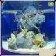 Acrylic Fish Tank 20mm--500mm 93%Manufacturers 1
