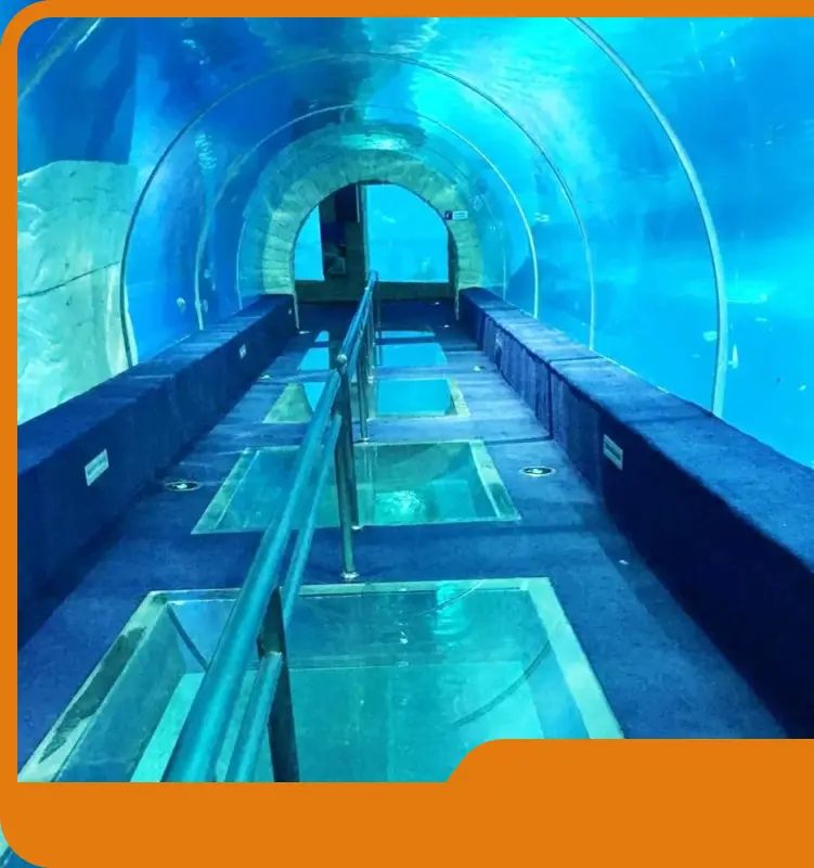 Acrylic Tunnels Factory 2.27% 1