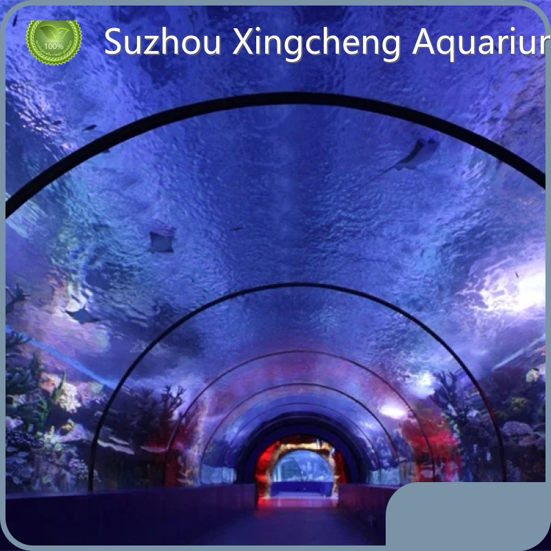 Xchacrylic Underwater Tunnel Aquarium 100% Imported Lucite After Filtering Underwater Tunnel AquariumSupply 1