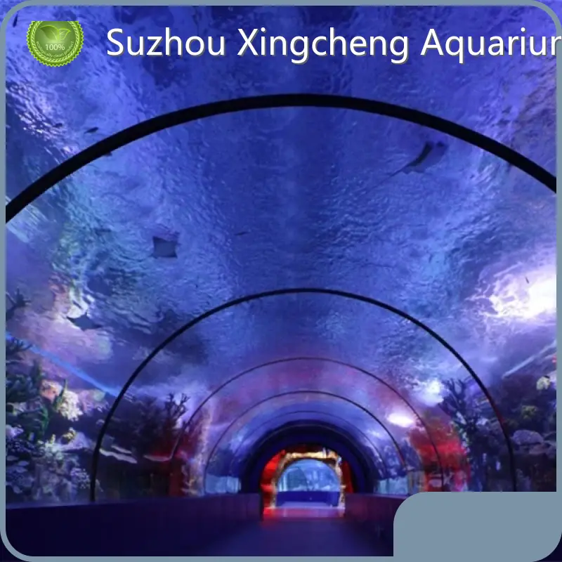 Xchacrylic Underwater Tunnel Aquarium 100% Imported Lucite After Filtering Underwater Tunnel AquariumSupply 1