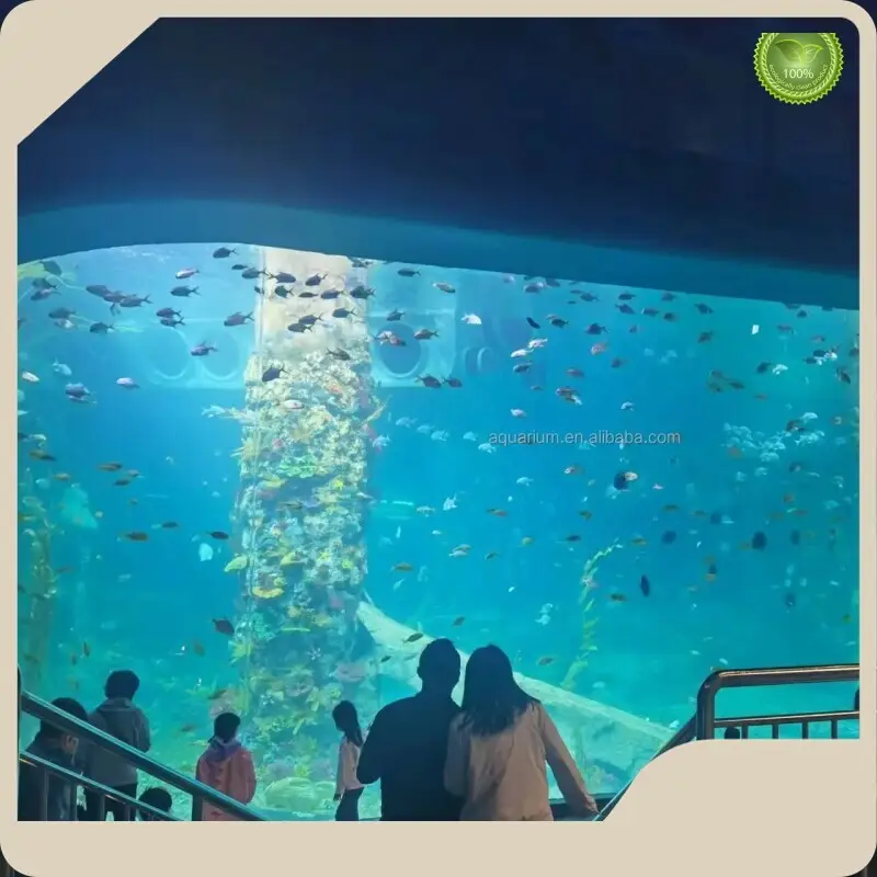 Custom Acrylic Aquarium Clear by Xchacrylic 1