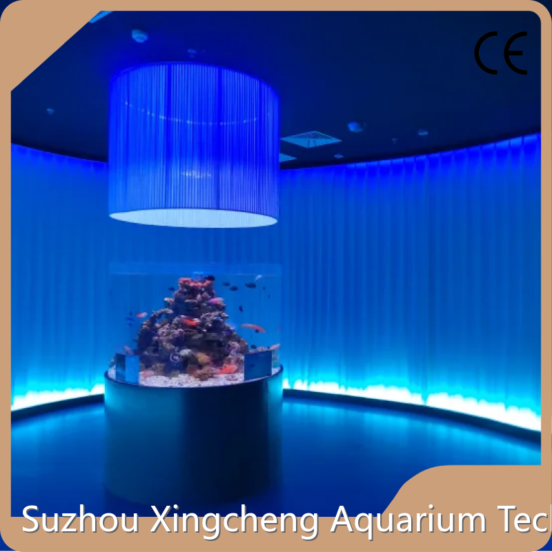 Custom Acrylic Aquariums Aquarium Tank Used by Xchacrylic 1