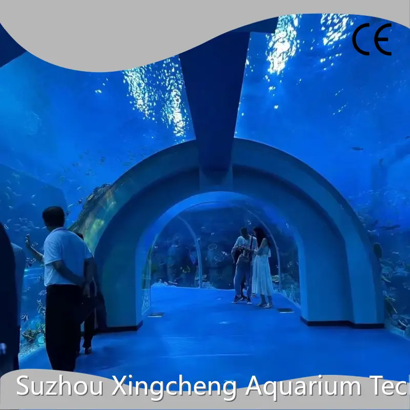 Acrylic Tunnels Stocked by Xchacrylic 1