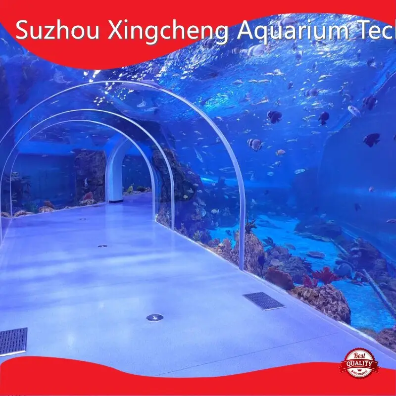 Clear Acrylic Tunnels Aquariums - - Xchacrylic 1