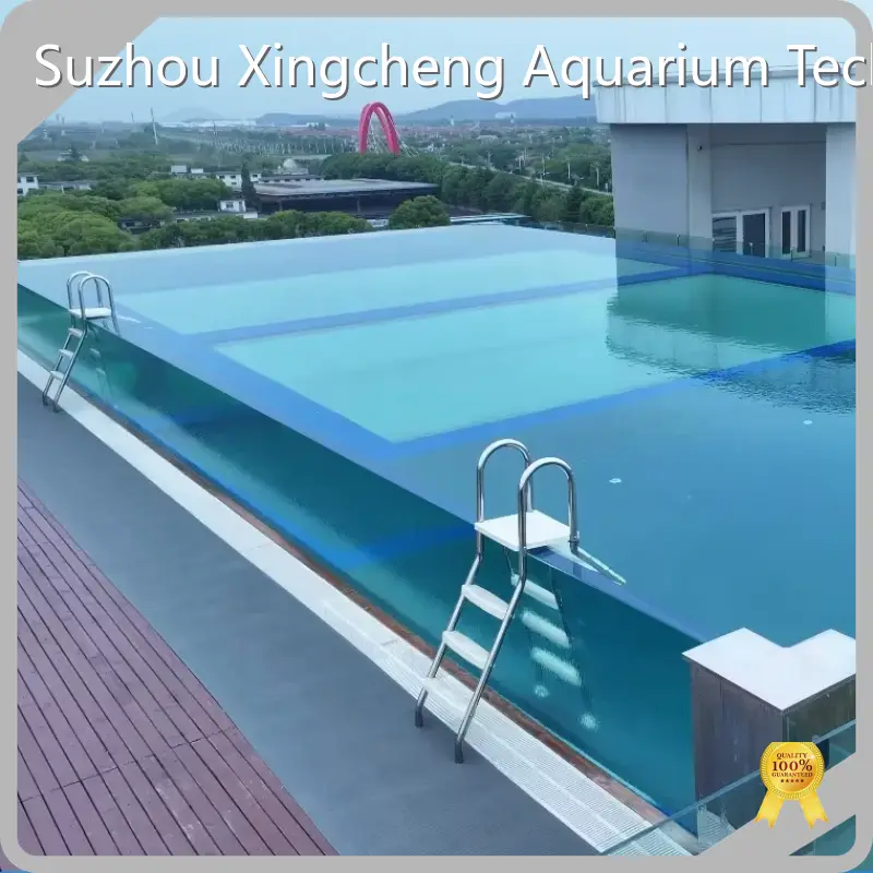 Above Ground Plexiglass Pools Swimming Pools by Xchacrylic 1
