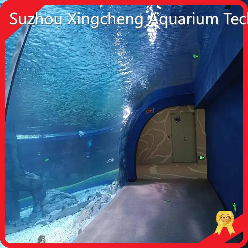 Aquarium Tunnel 93% by Xchacrylic 1