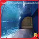 Aquarium Tunnel 93% by Xchacrylic 1