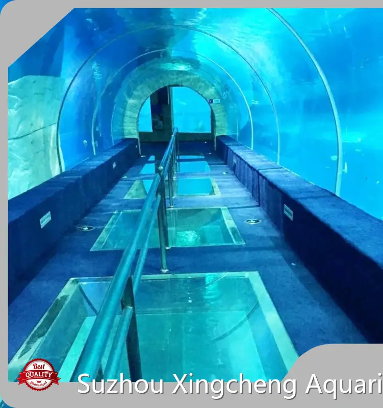 High-qualityunderwater Tunnel Aquarium 92.8% Transparent 1