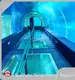 High-qualityunderwater Tunnel Aquarium 92.8% Transparent 1