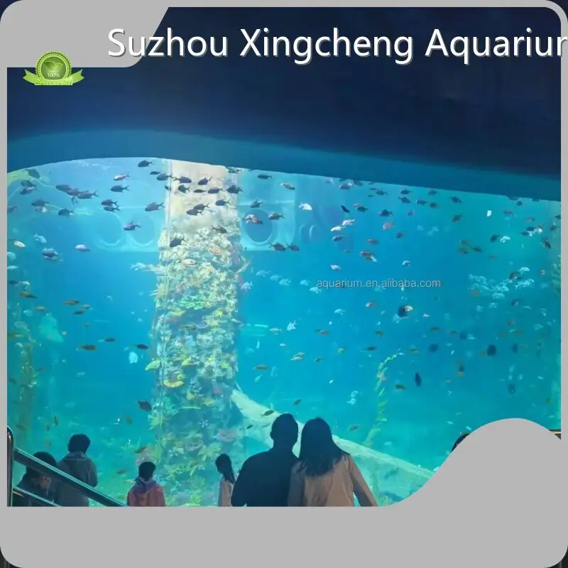 Large Acrylic Aquarium for Sale Cutting by Xchacrylic 1