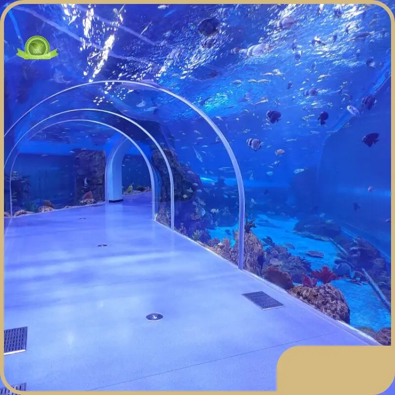 Tunnel Aquarium Xingcheng - - Xchacrylic 1